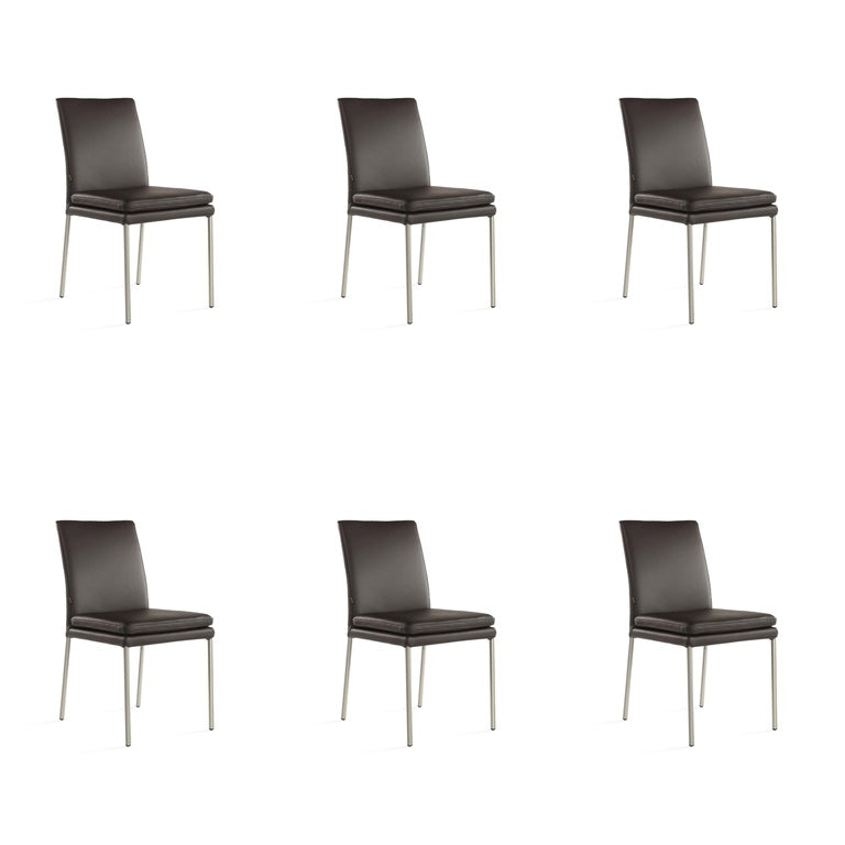 SIX Lederstuhl Ricco Braun, Edelstahl gebürstet - Sets