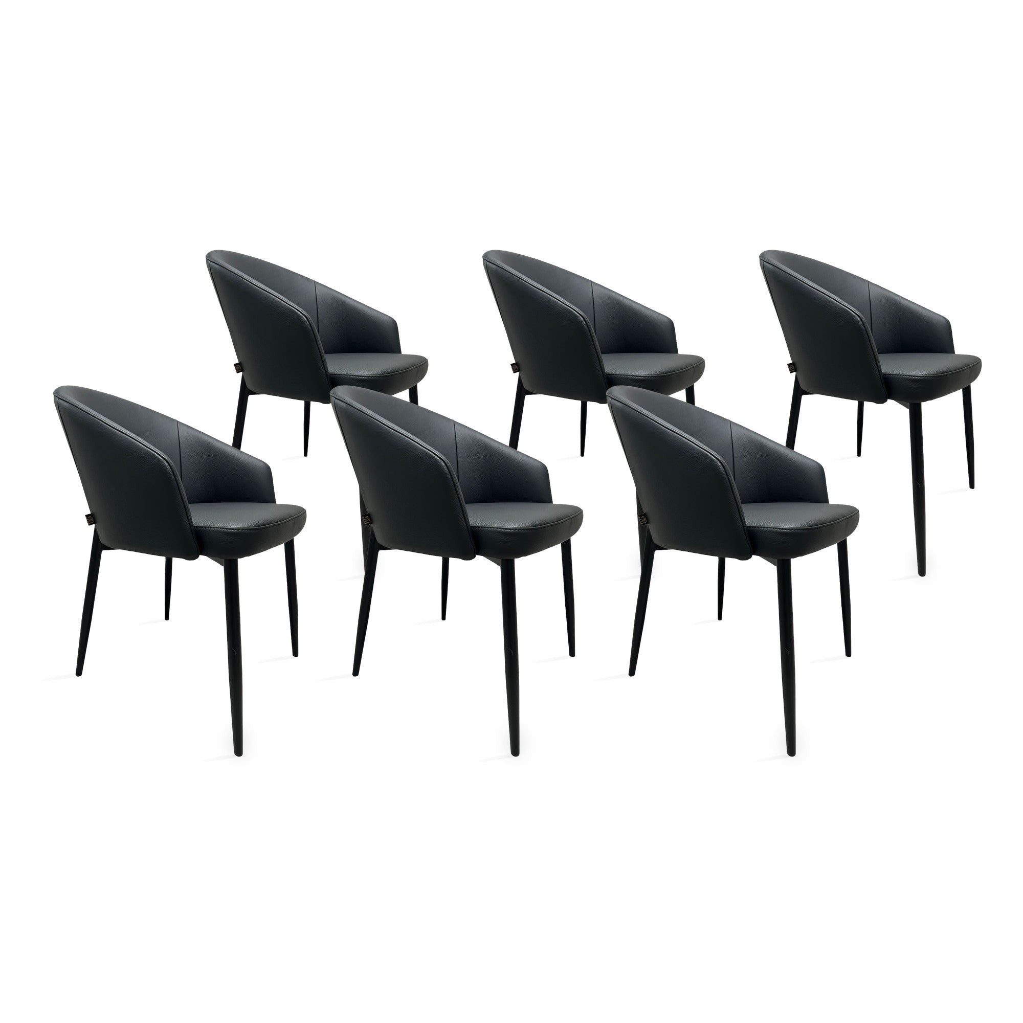 SIX Lederstuhl Armlehnstuhl Fizio Schwarz, Metall – 6er-Set